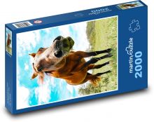 Animal - Horse Puzzle 2000 pieces - 90 x 60 cm