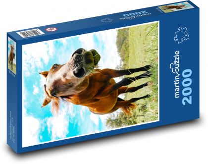 Animal - Horse - Puzzle 2000 pieces, size 90x60 cm 