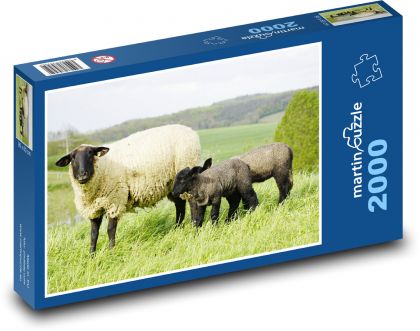 Ovce - Puzzle 2000 dielikov, rozmer 90x60 cm 