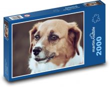Hunde Puzzle 2000 Teile - 90 x 60 cm