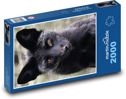 Stříbrná liška - puzzle 2000 dílků