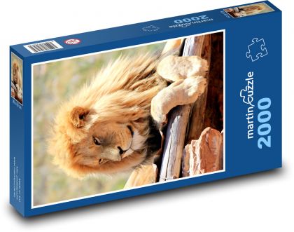 Lion - Puzzle 2000 pieces, size 90x60 cm 
