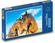 Pferde Puzzle 2000 Teile - 90 x 60 cm
