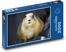 Prerijní pes Puzzle 2000 - 90x60 cm