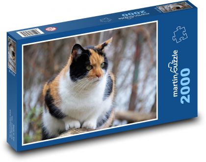 Cat top - Puzzle 2000 pieces, size 90x60 cm 