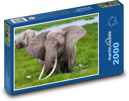 Slony - kly - Puzzle 2000 dielikov, rozmer 90x60 cm 