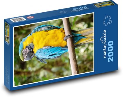 Parrot - Puzzle 2000 pieces, size 90x60 cm 