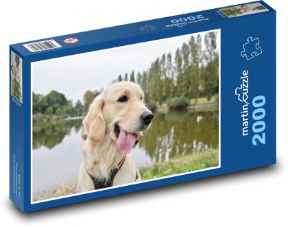 Golden Retriever - Hund - Puzzle - 2000 Teile