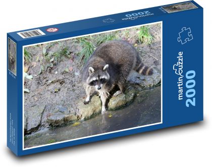 Medvedík mýval - Puzzle 2000 dielikov, rozmer 90x60 cm 