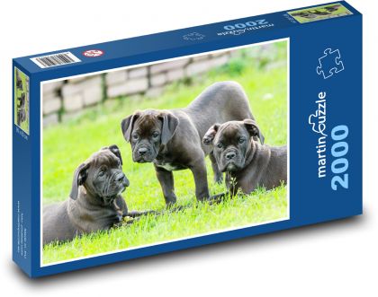 Psi - štěňata - puzzle 2000 dílků