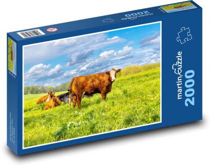 Hovädzí dobytok - krava - Puzzle 2000 dielikov, rozmer 90x60 cm 