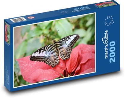 Schmetterling - Insekt - Puzzle - 2000 Teile