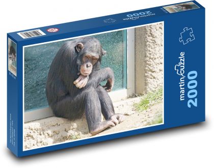 Opica - šimpanz - Puzzle 2000 dielikov, rozmer 90x60 cm 