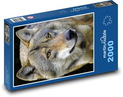 Der Wolf - Puzzle - 2000 Teile