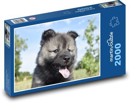 Eurasian puppy - Puzzle 2000 pieces, size 90x60 cm 