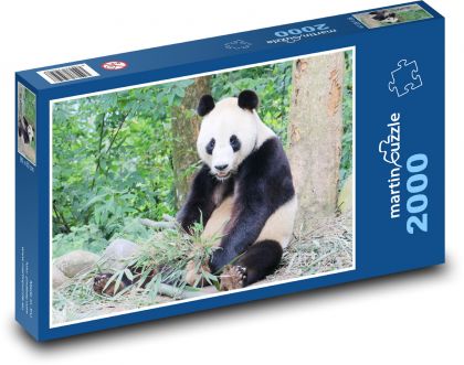 Medveď panda - Puzzle 2000 dielikov, rozmer 90x60 cm 