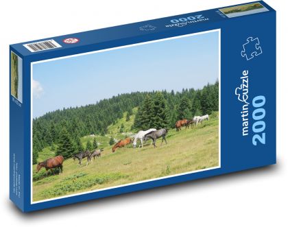 Zwierzęta - konie - Puzzle 2000 elementów, rozmiar 90x60 cm