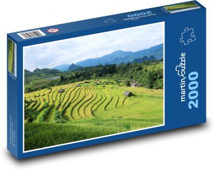 Vietnam - Rice Fields - Puzzle 2000 pieces, size 90x60 cm 