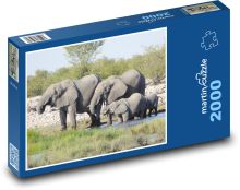 Elefantenherde Puzzle 2000 Teile - 90 x 60 cm