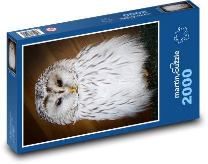 Zasnežená sova - Puzzle 2000 dielikov, rozmer 90x60 cm 