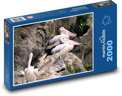 Pelikany - ptaki - Puzzle 2000 elementów, rozmiar 90x60 cm