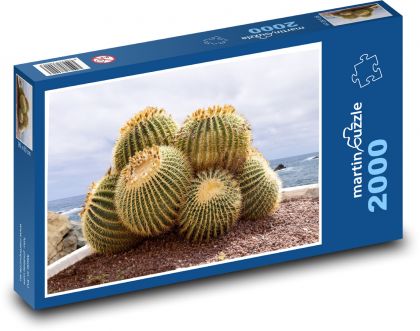 Cactus - Puzzle 2000 pieces, size 90x60 cm 