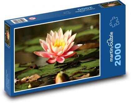 Lily of the Lake - Puzzle 2000 pieces, size 90x60 cm 