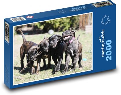 Psy - Psy - Puzzle 2000 dielikov, rozmer 90x60 cm 