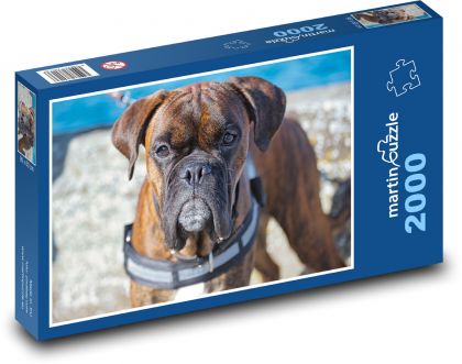 Boxer - pes - Puzzle 2000 dielikov, rozmer 90x60 cm 