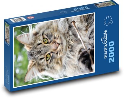 Mačka - Puzzle 2000 dielikov, rozmer 90x60 cm 