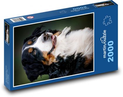 Bernský salašnícky pes - Puzzle 2000 dielikov, rozmer 90x60 cm 