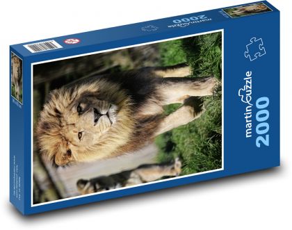Lev - Puzzle 2000 dielikov, rozmer 90x60 cm 