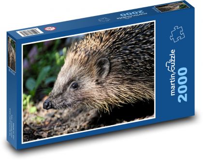 Ježek - puzzle 2000 dílků