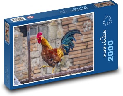 Hydina - Kohút - Puzzle 2000 dielikov, rozmer 90x60 cm 