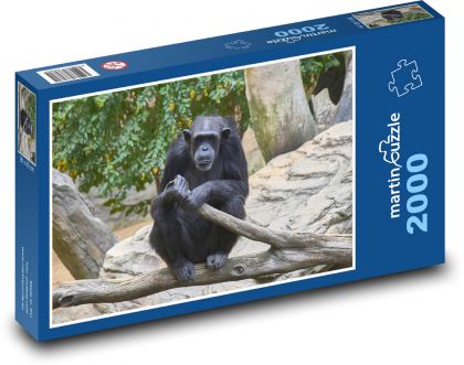 Šimpanz - opica - Puzzle 2000 dielikov, rozmer 90x60 cm 