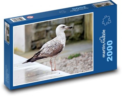 Pták - racek - puzzle 2000 dílků