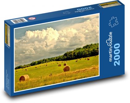 Krajina - pole - Puzzle 2000 dílků, rozměr 90x60 cm