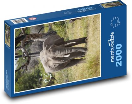 Zviera - slon - Puzzle 2000 dielikov, rozmer 90x60 cm 
