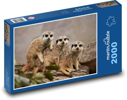 Zoo - Erdmännchen - Puzzle - 2000 Teile