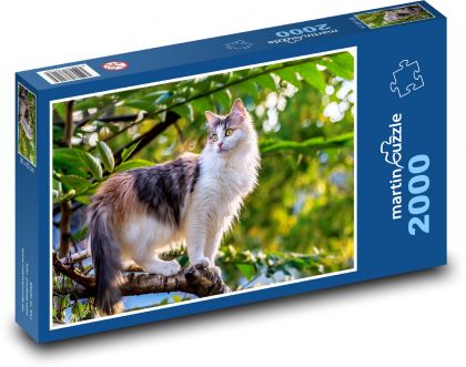 Domáce zviera - mačka na strome - Puzzle 2000 dielikov, rozmer 90x60 cm 