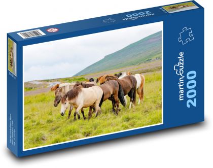 Kone - stádo - Puzzle 2000 dielikov, rozmer 90x60 cm 