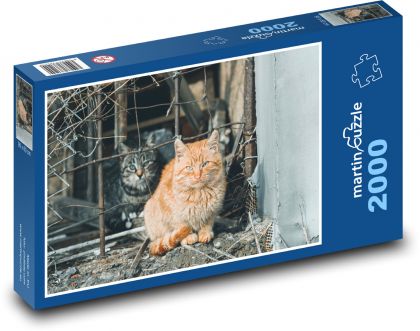 Túlavé mačky - Puzzle 2000 dielikov, rozmer 90x60 cm 