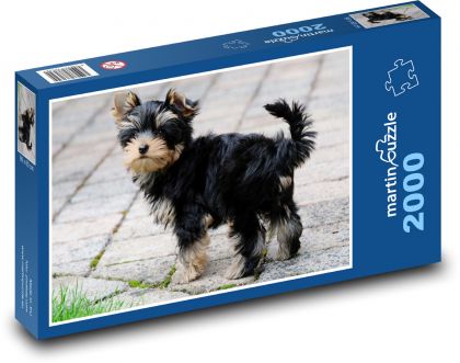 Yorkshire Terrier - Hund - Puzzle - 2000 Teile