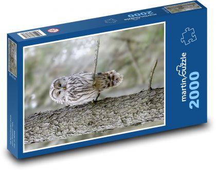 Dravý vták - sova - Puzzle 2000 dielikov, rozmer 90x60 cm 