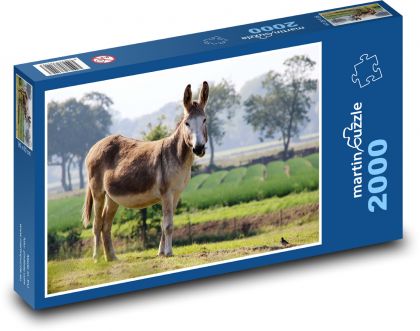 Animal - donkey - Puzzle 2000 pieces, size 90x60 cm 