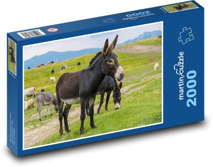 Osel - zvíře - puzzle 2000 dílků