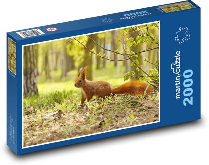 Veverička - hlodavec - Puzzle 2000 dielikov, rozmer 90x60 cm 