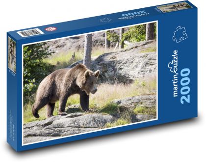 Niedźwiedź brunatny - Puzzle 2000 elementów, rozmiar 90x60 cm