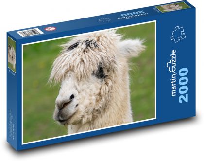 Alpaka - lama - puzzle 2000 dílků