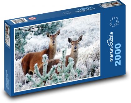 Deer - animals - Puzzle 2000 pieces, size 90x60 cm 